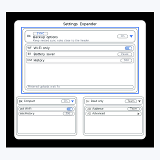 Settings Expander render output
